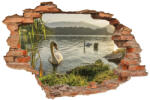 4 Decor Sticker cu efect 3D - Lebedele
