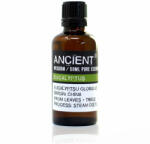 Ancient Wisdom Eukaliptusz illóolaj 50 ml