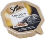 Sheba Selection in Sauce poultry 85 g