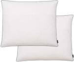 vidaXL Perne cu umplutură din puf/pene, 2 buc. , alb, 70 x 60 cm (132891) - vidaxl