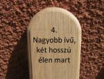 Mátra 100 cm-es tölgy kerítéselem 4. profil felületkezelve