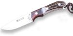 JOKER KNIFE AGUILA BLADE 10, 5cm, STAG HORN HANDLE, RED WOOD BOLSTER - CC105 (CC105)