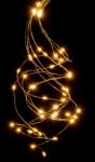Nexos Fir de lumină de Crăciun MINI LED, alb cald, 48 LED-uri (BI11023)