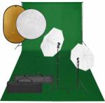 vidaXL Set studio foto cu set de lumini, fundal și reflector (3094663)