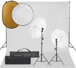vidaXL Set studio foto cu set de lumini, fundal și reflector (3094659)