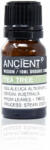 Ancient Wisdom Teafa Bio illóolaj 10 ml