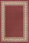  Covor Alina Mir rosu 120/170 cm (16617820/3) Covor