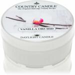 The Country Candle Company Vanilla Orchid lumânare 42 g