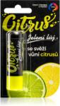 Regina Citrus ajakbalzsam citrus 4.5 g
