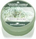 The Country Candle Company Frosty Branches lumânare 42 g