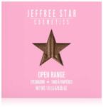 Jeffree Star Cosmetics Artistry Single Eyeshadow szemhéjfesték árnyalat Open Range 1, 5 g