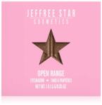 Jeffree Star Cosmetics Artistry Single szemhéjfesték árnyalat Open Range 1, 5 g