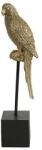  Statueta aurie papagal samson h39, 5 cm (771756DT)