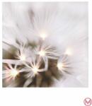  Tablou cu print digital si led 40/40 cm (90425)