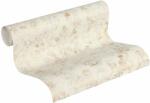  Tapet netesut aspect baroc Neue Bude bej 10, 05 x 0, 53 m (23857056)