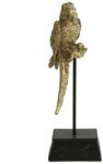  Statueta aurie papagal samson h28, 5 cm (771755DT)