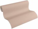  Tapet vinil Glatte Wand maro deschis 10, 05 x 0, 53 m (71558507)