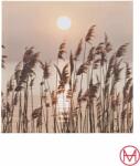  Tablou cu led Schilf 40/40 cm (72623130)