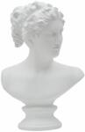  Statueta bust Woman 21, 5x14, 5x34 cm (0116090000)