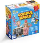 D-Toys Corpul Uman - Joc educativ EduScience (79565)