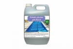  Solutie piscina pH PLUS Arca Lux, Bidon 5 L (PFDSPPPAL5100)