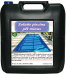 Solutie piscina pH MINUS Arca Lux, Bidon 20L (PFDAPPMAL100)