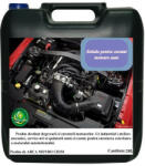  Solutie pentru curatat motoare auto Arca Lux, Bidon 20L ('133)