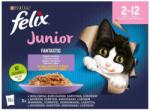 FELIX Fantastic Junior Mixed Selection in aspic 12x85 g
