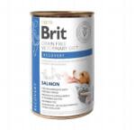 Brit Brit Grain Free Veterinary Diet Dog/Cat Recovery Lazac 400g