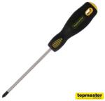 Topmaster Professional PH1х100 (221567) Surubelnita