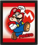 Pyramid Poster 3D cu rama Pyramid Games: Super Mario - Mario & Yoshi (EPPL71308)