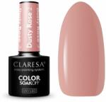 Claresa Oja Semipermanenta Claresa Dusty Rose 2