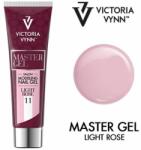 Victoria Vynn Master Gel Victoria Vynn 11 Light Rose 60g