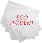 Leonarto. hu ECO STUDENT FESTŐVÁSZNAK KERETEN 30 x 40 cm (Pamut 300g/m2, )