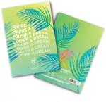 Herlitz Caiet Herlitz A4, 80 file, dictando, motiv Dreams of Neversea, diverse modele HZ9490420 (9490420)