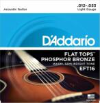 D'Addario EFT16 - muziker