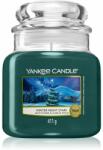 Yankee Candle Winter Night Stars 411 g