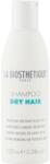 La Biosthetique Șampon delicat pentru păr uscat - La Biosthetique Dry Hair Shampoo 100 ml