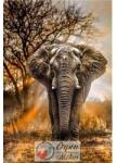  Afrikai elefánt gyémántszemes kirakó szett, 30*45 cm