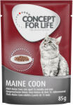 Concept for Life 24x85g Concept for Life Maine Coon Adult (ragu-minőség) nedves macskatáp