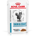Royal Canin Veterinary Diet 24x85g Royal Canin Veterinary Feline Skin & Coat nedves macskatáp