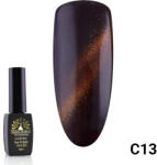 Global Fashion Oja semipermanenta Cat Eyes 8 ml, 13