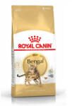 Royal Canin Bengal Adult hrană uscată pentru pisici bengale adulte 20 kg (2 x 10 kg)