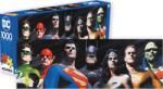 Aquarius - Puzzle Cutie deteriorată DC Comics Justice League - 1 000 piese Puzzle