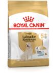 Royal Canin Labrador Retriever Adult 5+ 3 kg