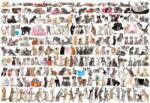 EUROGRAPHICS - Puzzle Katzenwelt - 2 000 piese