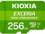 Toshiba KIOXIA Exceria High 256GB CL10 LMHE1G256GG2