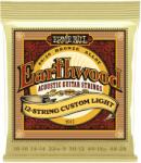 Ernie Ball 2013 Bronze 12 Custom Light 10-48