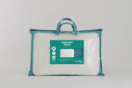 Naturtex Memory Biome párna 60x40x14 cm (107000074)