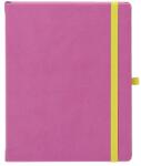 EGO Agenda nedatata 16.5x21cm coperta CV402 lila, EGO Notebook Pro